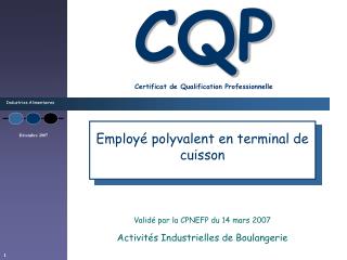 CQP Certificat de Qualification Professionnelle