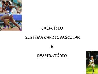 EXERCÍCIO SISTEMA CARDIOVASCULAR E RESPIRATÓRIO