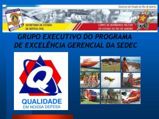 GRUPO EXECUTIVO DO PROGRAMA DE EXCELÊNCIA GERENCIAL DA SEDEC