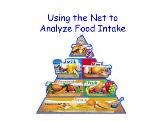 Using the Net to Analyze Food Intake