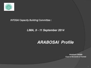 INTOSAI Capacity Building Committee :