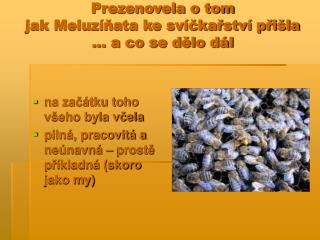 Prezenovela o tom jak Meluzíňata ke svíčkařství přišla … a co se dělo dál