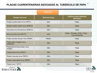 PLAGAS CUARENTENARIAS ASOCIADAS AL TUBÉRCULO DE PAPA