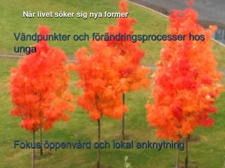 När livet söker sig nya former