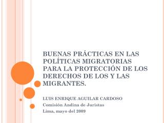 LUIS ENRIQUE AGUILAR CARDOSO Comisión Andina de Juristas Lima, mayo del 2009