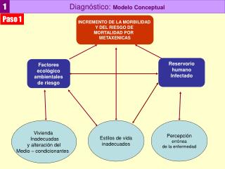 Diagnóstico: Modelo Conceptual