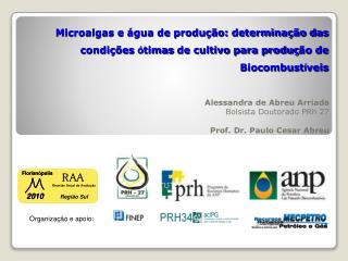 Alessandra de Abreu Arriada Bolsista Doutorado PRh 27 Prof. Dr. Paulo Cesar Abreu
