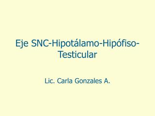 Eje SNC-Hipotálamo-Hipófiso-Testicular