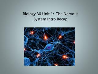 Biology 30 Unit 1: The Nervous System I ntro R ecap