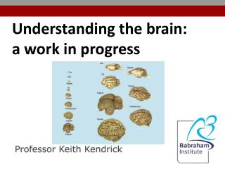 Understanding the brain: a work in progress