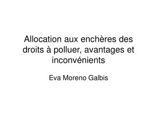 Allocation aux enchères des droits à polluer, avantages et inconvénients