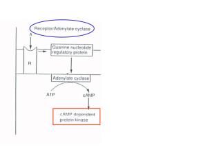 Phospholipase C