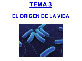 TEMA 3 EL ORIGEN DE LA VIDA