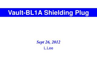 Vault-BL1A Shielding Plug