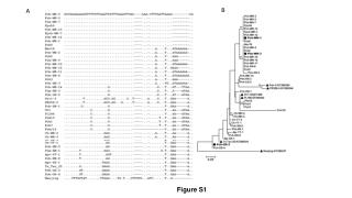 Figure S1