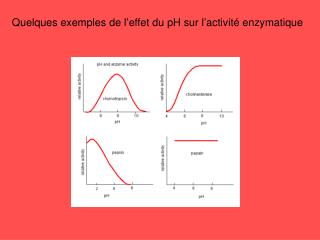 Quelques exemples de l’effet du pH sur l’activité enzymatique