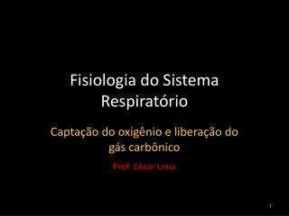 Fisiologia do Sistema Respiratório