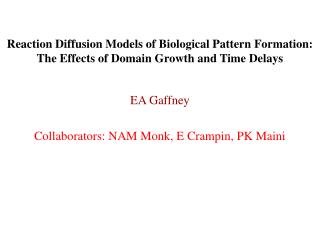 EA Gaffney Collaborators: NAM Monk, E Crampin, PK Maini