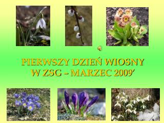 PIERWSZY DZIEŃ WIOSNY W ZSG – MARZEC 2009’