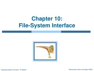 Chapter 10: File-System Interface