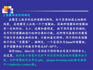 2. 噬菌体效价的测定