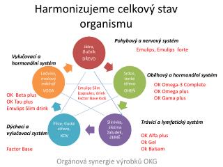 Harmonizujeme celkový stav organismu