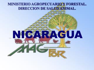NICARAGUA