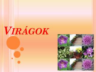 Virágok