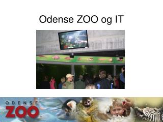 Odense ZOO og IT