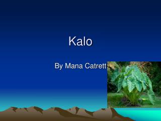 Kalo