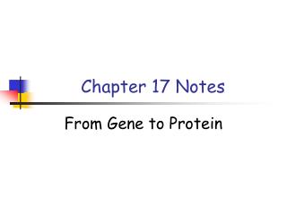 Chapter 17 Notes
