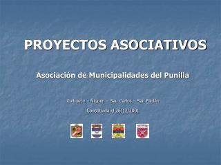 PROYECTOS ASOCIATIVOS