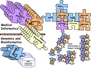 Gene Annotation Databases