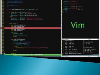 Vim