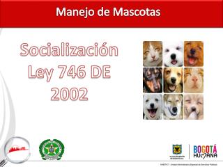 Socialización Ley 746 DE 2002