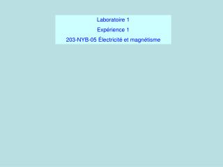 Laboratoire 1 Expérience 1 203-NYB-05 Électricité et magnétisme