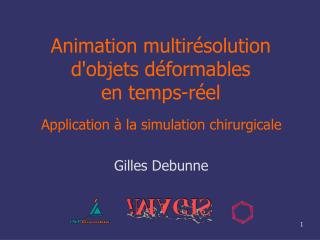 Animation multirésolution d'objets déformables en temps-réel
