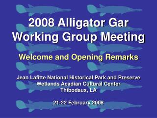 2008 Alligator Gar Working Group Meeting