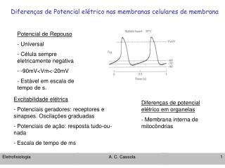 Diferenças de Potencial elétrico nas membranas celulares de membrana