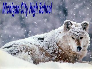 Michigan City High School