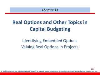 Real Options and Other Topics in Capital Budgeting