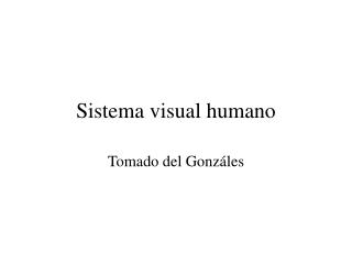 Sistema visual humano