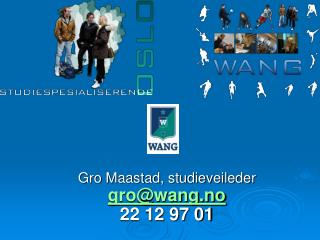 Gro Maastad, studieveileder gro@wang.no 22 12 97 01