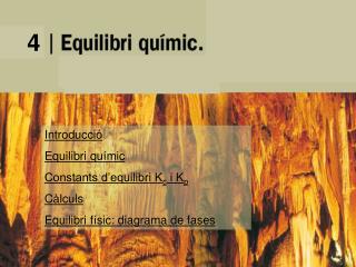 Introducció Equilibri químic Equilibri físic: diagrama de fases Entropia i energia lliure de Gibbs