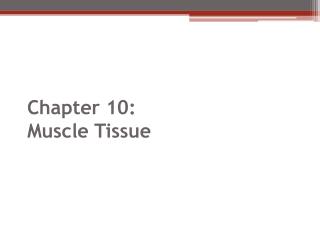 Chapter 10: Muscle Tissue