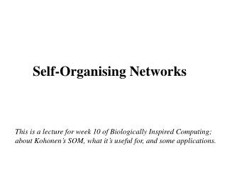 Self-Organising Networks