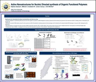 Active Nanostructures for Nucleic Directed synthesis of Organic Functional Polymers