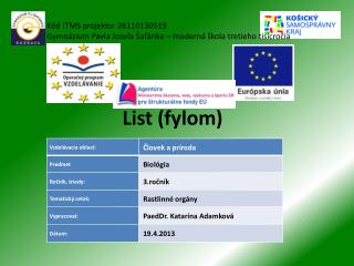 List (fylom)