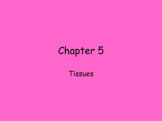 Chapter 5