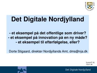 DDN-rammer - IT-og telepolitisk redegørelse 1999